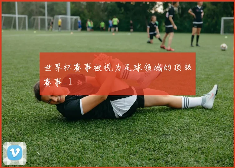 世界杯赛事被视为足球领域的顶级赛事_1