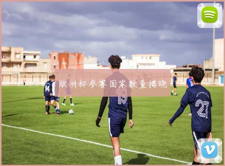 欧洲杯参赛国家数量揭晓