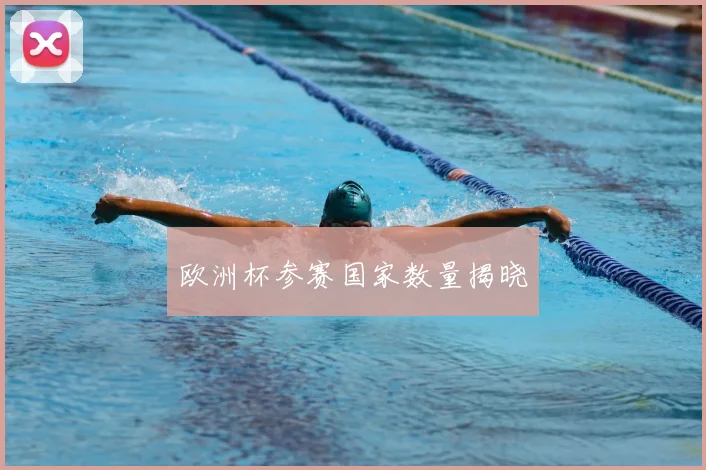 欧洲杯参赛国家数量揭晓