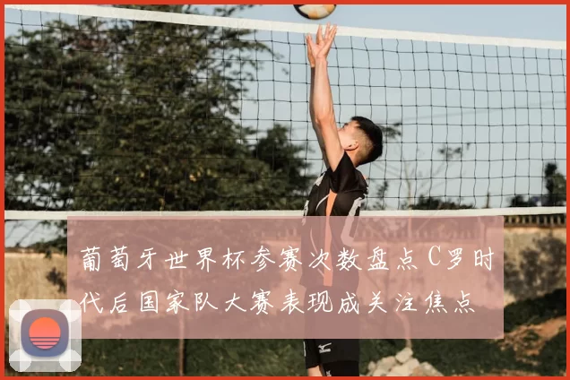 葡萄牙世界杯参赛次数盘点 C罗时代后国家队大赛表现成关注焦点