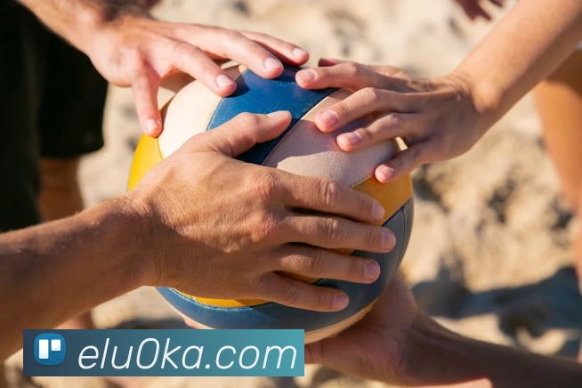 俄罗斯世界杯中国官网平台生态图