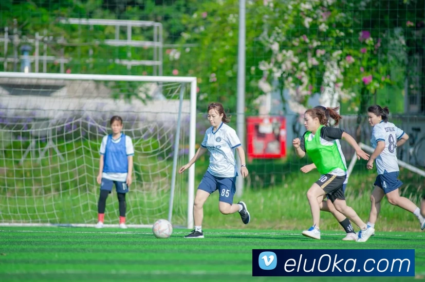 俄罗斯世界杯中国官网APP 封面图